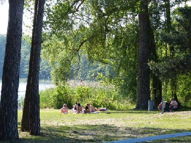 Maison de vacances /en/au Bad Freienwalde (Mrkisch-Oderland)ou appartement ou maison de vacances