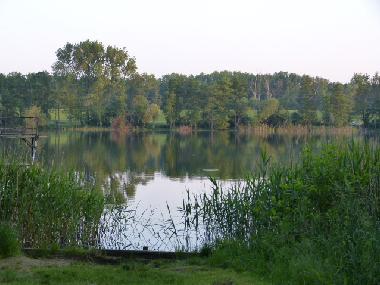 Maison de vacances /en/au Bad Freienwalde (Mrkisch-Oderland)ou appartement ou maison de vacances