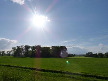 Maison de vacances /en/au Bad Freienwalde (Mrkisch-Oderland)ou appartement ou maison de vacances