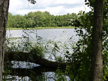 Maison de vacances /en/au Bad Freienwalde (Mrkisch-Oderland)ou appartement ou maison de vacances