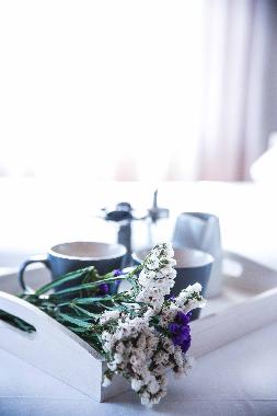 Appartement de vacances /en/au Nikiti (Chalkidiki)ou appartement ou maison de vacances