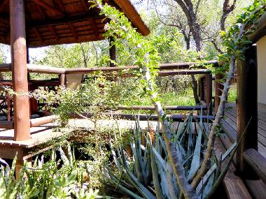 Appartement de vacances �/en/au Hoedspruit (Mpumalanga)ou appartement ou maison de vacances