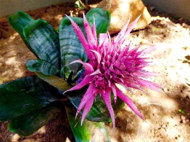 Appartement de vacances �/en/au Hoedspruit (Mpumalanga)ou appartement ou maison de vacances