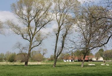 Villa /en/au De Haan aan Zee  (Flandre)ou appartement ou maison de vacances