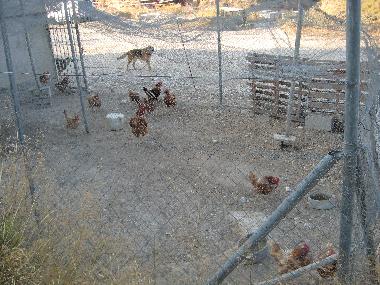 Maison de vacances /en/au Jijona (Alicante / Alacant)ou appartement ou maison de vacances