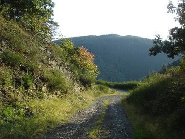 Appartement de vacances /en/au Ahrbrck (Eifel - Ahr)ou appartement ou maison de vacances