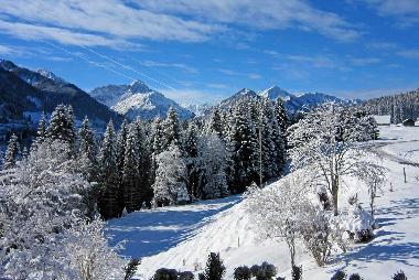 Appartement de vacances /en/au Riezlern  (Bludenz-Bregenzer Wald)ou appartement ou maison de vacances