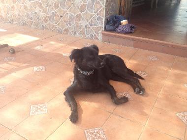 Appartement de vacances /en/au Torrox (Mlaga)ou appartement ou maison de vacances