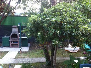 Appartement de vacances �/en/au Igalo (Mont�n�gro)ou appartement ou maison de vacances