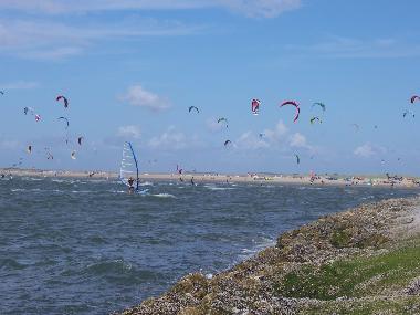Maison de vacances /en/au Scharendijke (Zeeland)ou appartement ou maison de vacances