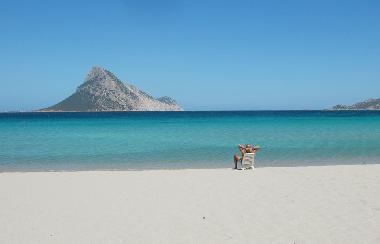 Appartement de vacances /en/au Olbia (Sassari)ou appartement ou maison de vacances