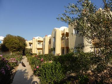 Chambre avec petit d�jeuner �/en/au Zarzis (Madanin)ou appartement ou maison de vacances