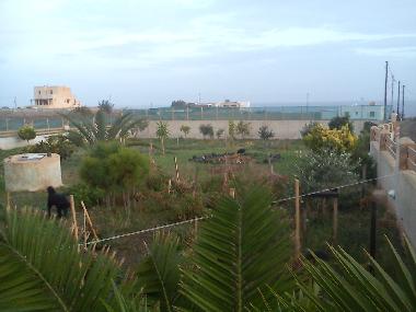 Maison de vacances /en/au santorin (Kyklades)ou appartement ou maison de vacances