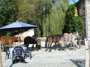 Chambre avec petit djeuner /en/au blot l