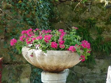 Chambre avec petit djeuner /en/au blot l