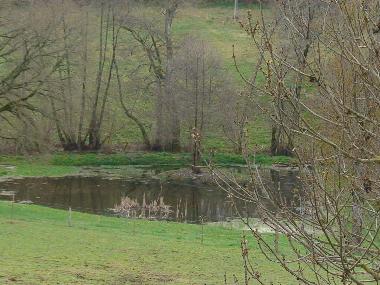 Chambre avec petit djeuner /en/au blot l