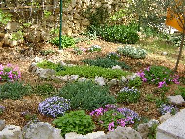 Appartement de vacances �/en/au Mandre (Zadarska)ou appartement ou maison de vacances