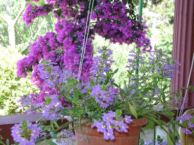 Appartement de vacances �/en/au Mandre (Zadarska)ou appartement ou maison de vacances