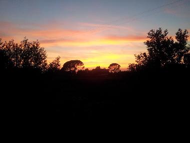 Villa /en/au Manduria (Taranto)ou appartement ou maison de vacances