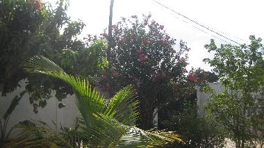 Appartement de vacances �/en/au Kerr Serign (Banjul)ou appartement ou maison de vacances