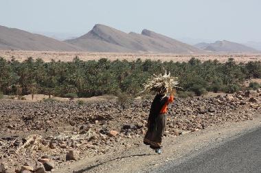 Chambre avec petit d�jeuner �/en/au Zagora (Ouarzazate)ou appartement ou maison de vacances