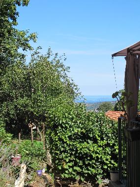 Appartement de vacances �/en/au Oletta (Haute-Corse)ou appartement ou maison de vacances