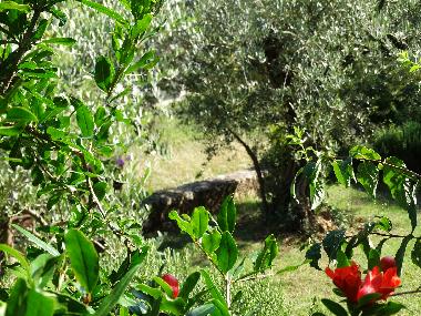 Appartement de vacances �/en/au Porec (Istarska)ou appartement ou maison de vacances