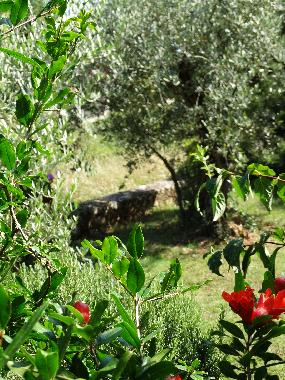 Appartement de vacances �/en/au Porec (Istarska)ou appartement ou maison de vacances