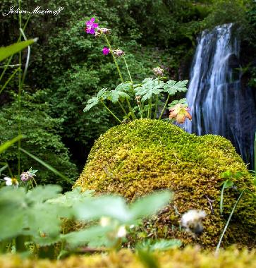 Maison de vacances �/en/au Barutin (Smolyan)ou appartement ou maison de vacances
