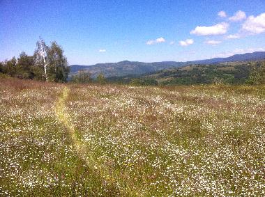 Maison de vacances �/en/au Barutin (Smolyan)ou appartement ou maison de vacances