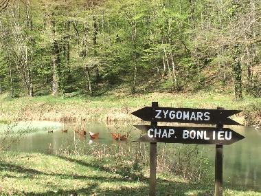 Bois de la valle de Rabais (Sentier des Songes, repres...  pied ou vtt)