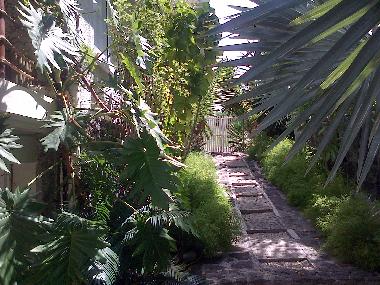 Maison de vacances �/en/au LE MORNE (Black River)ou appartement ou maison de vacances