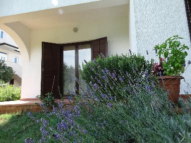 Appartement de vacances �/en/au Vranici (Istarska)ou appartement ou maison de vacances