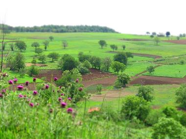 Maison de vacances /en/au Falerna (Catanzaro)ou appartement ou maison de vacances