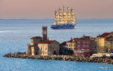 Appartement de vacances �/en/au Piran (Piran)ou appartement ou maison de vacances