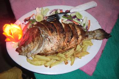 H�tel �/en/au Agonda Goa  (Goa)ou appartement ou maison de vacances