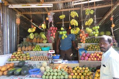 H�tel �/en/au Agonda Goa  (Goa)ou appartement ou maison de vacances