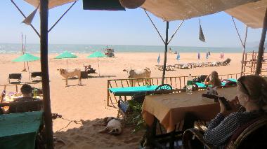 H�tel �/en/au Agonda Goa  (Goa)ou appartement ou maison de vacances