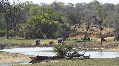 Maison de vacances �/en/au Hoedspruit (Mpumalanga)ou appartement ou maison de vacances