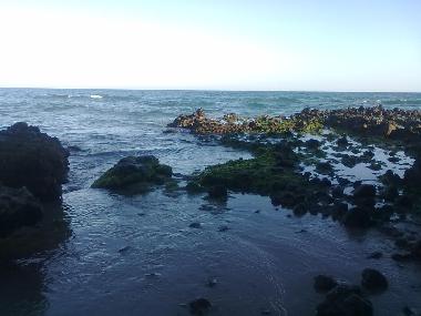 Appartement de vacances /en/au RETAMAR ALMERIA (Almera)ou appartement ou maison de vacances