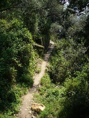 Maison de vacances �/en/au Montemarcello di Ameglia (La Spezia)ou appartement ou maison de vacances