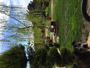 Villa /en/au ANTALYA (Antalya)ou appartement ou maison de vacances