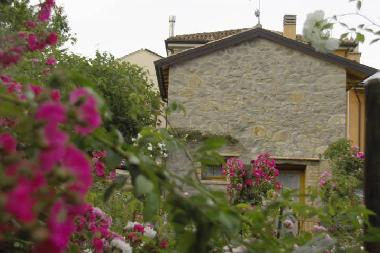 Maison de vacances /en/au Tarzo (Treviso)ou appartement ou maison de vacances