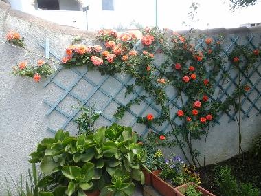 Appartement de vacances /en/au orosei (Nuoro)ou appartement ou maison de vacances