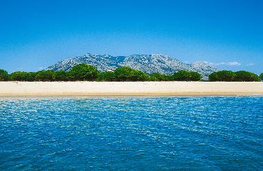 Appartement de vacances /en/au orosei (Nuoro)ou appartement ou maison de vacances