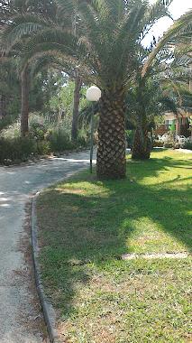 Appartement de vacances �/en/au Calvi (Haute-Corse)ou appartement ou maison de vacances