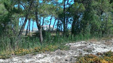 Appartement de vacances �/en/au Calvi (Haute-Corse)ou appartement ou maison de vacances