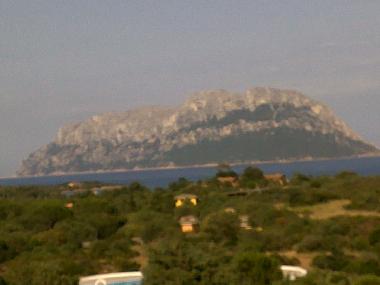 Maison de vacances /en/au Olbia (Olbia-Tempio)ou appartement ou maison de vacances