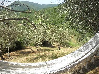 Chambre avec petit djeuner /en/au FIVIZZANO (Massa-Carrara)ou appartement ou maison de vacances
