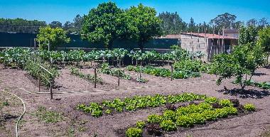Maison de vacances /en/au Labrengos-Coves (Centro (P))ou appartement ou maison de vacances